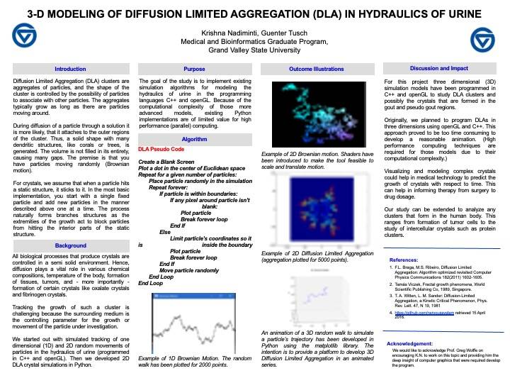 Krishna Nadiminti, Guenter Tusch,3-D Modeling of Diffusion Limited Aggregation (DLA) in Hydraulics of Urine.